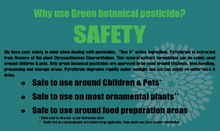 Load image into Gallery viewer, EMIT BOX "A" NATURAL PYRETHRUM