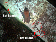 Load image into Gallery viewer, EMIT "CHASE AWAY" BAT REPELLENT SPRAY