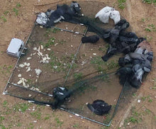 Load image into Gallery viewer, ENTA BIRD SPRING TRAP (EM-1032)