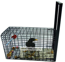 Load image into Gallery viewer, ENTA SINGLE CATCH BIRD TRAP (EM-1019)