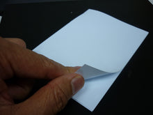 Load image into Gallery viewer, Lizard/ Gecko Traps