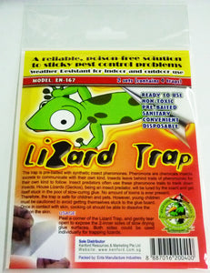 Lizard/ Gecko Traps