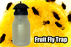 FRUIT FLY TRAP (EM-3601)